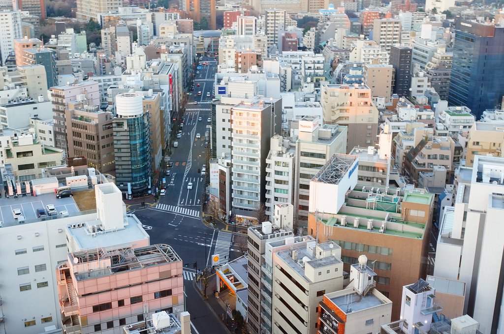２０階より