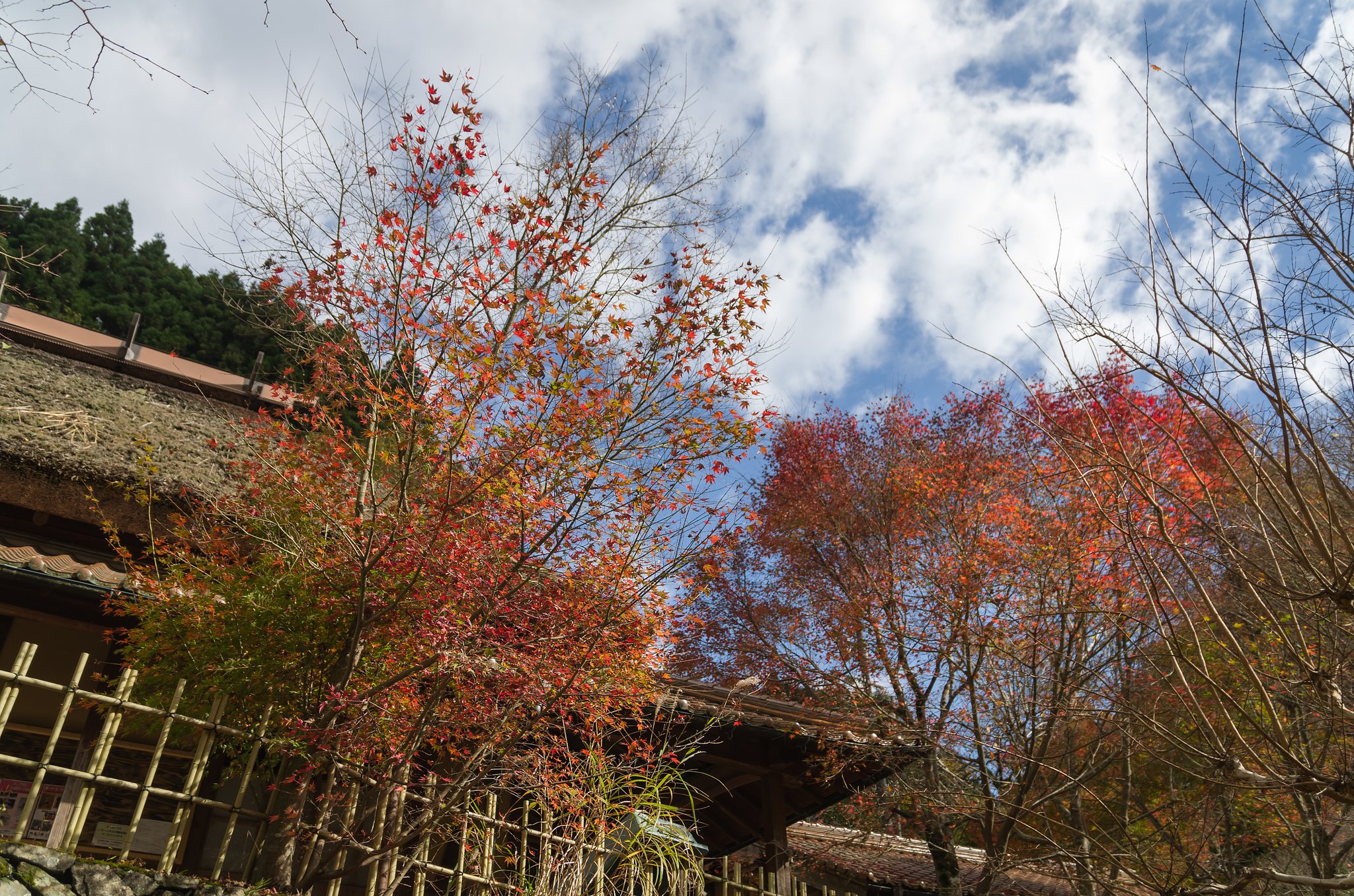 SIGMA 17-70mm F2.8-4 DC MACRO 