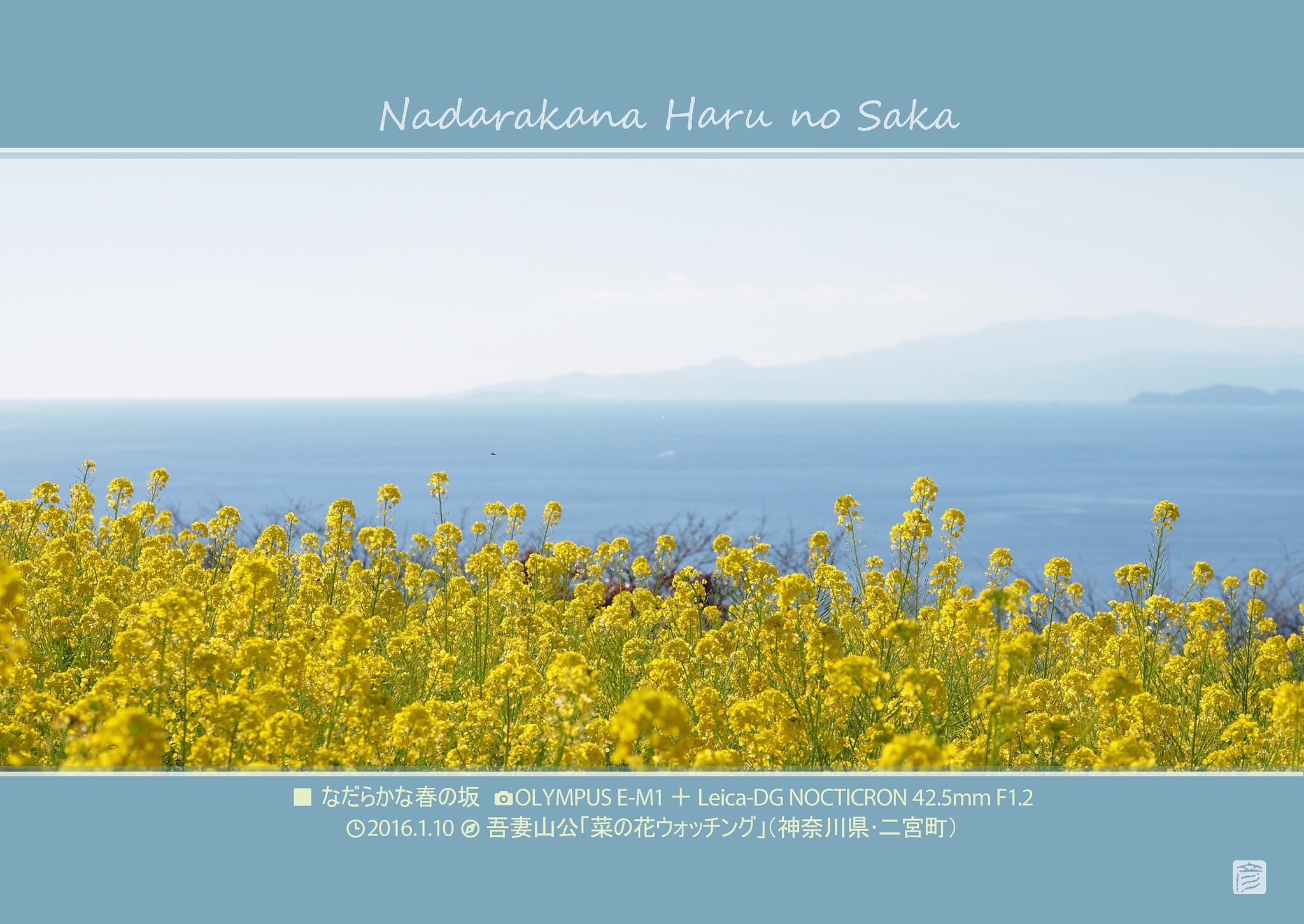 なだらかな春の坂