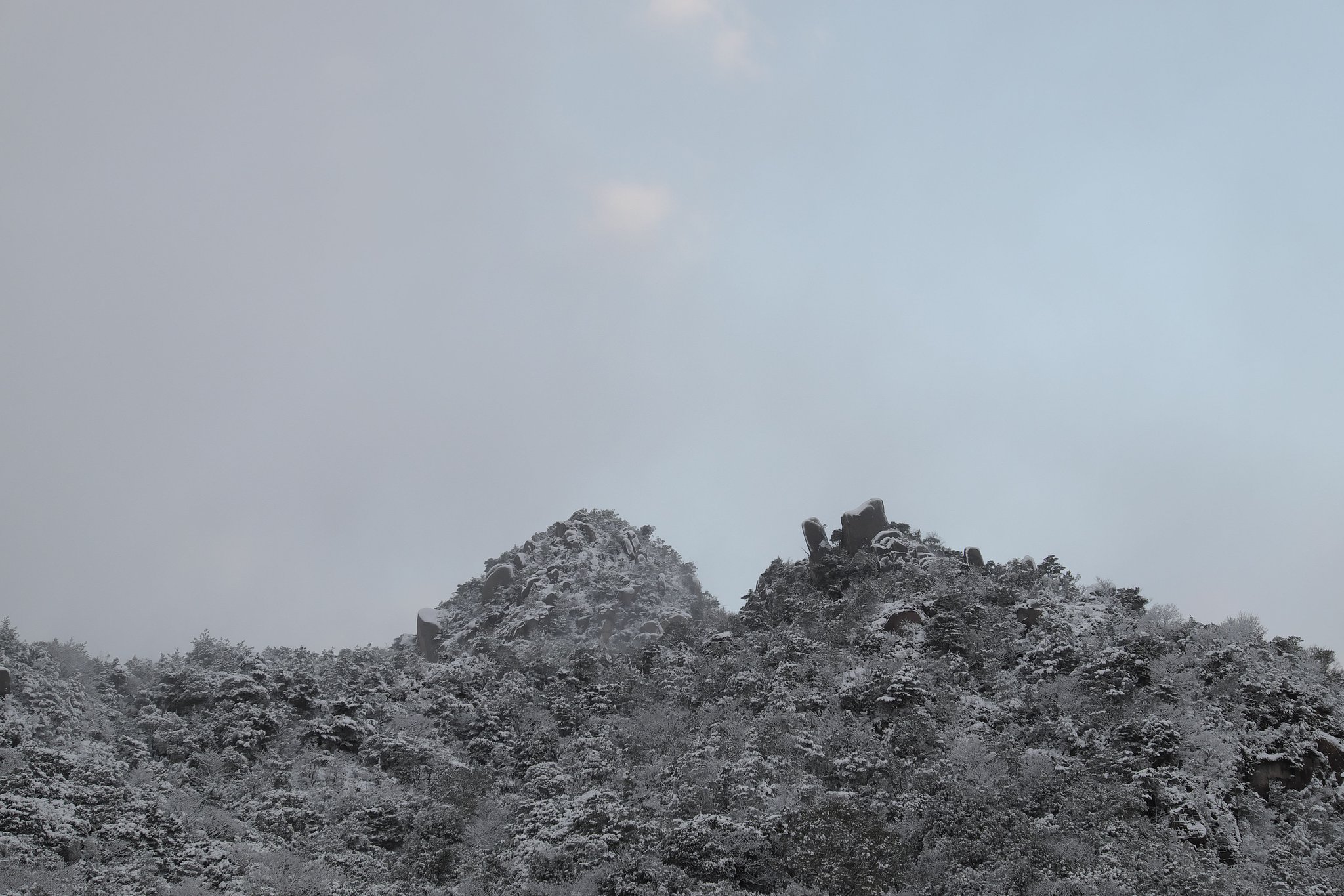 Fuji XF 16-55