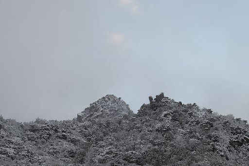 Fuji XF 16-55