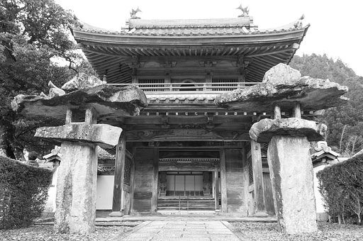 1月5日の写真