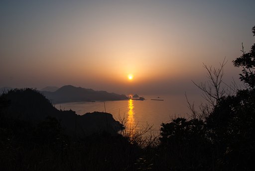 タムロン 17-50 F2.8の画像です。