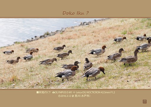 何処行く？