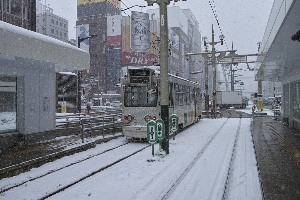 札幌の雪