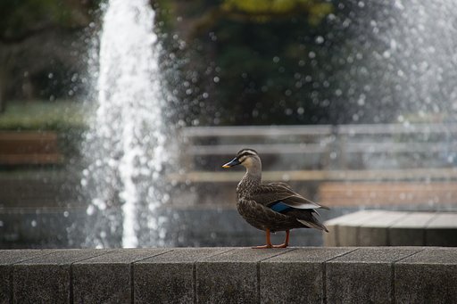 TAMRON 28-300mm F3.5-6.3 VC