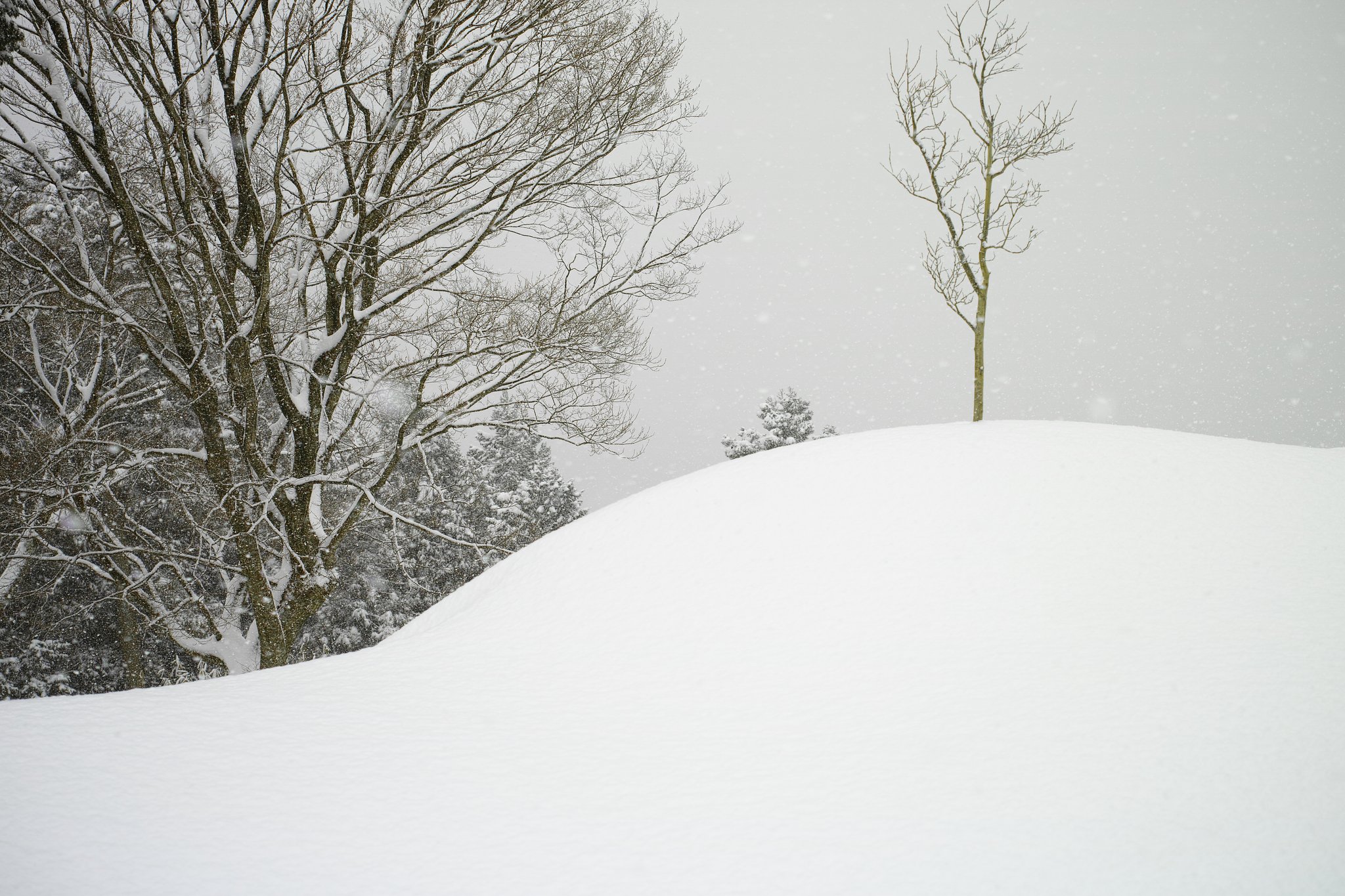 雪のカーブ