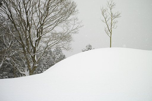 雪のカーブ