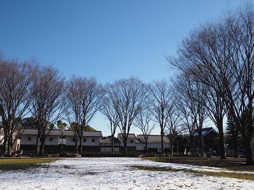雪残る光景