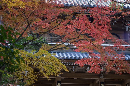 山門