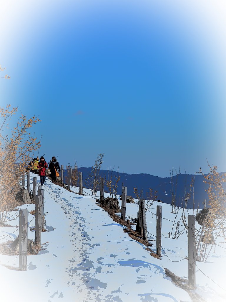 坂のある風景～宝登山～2