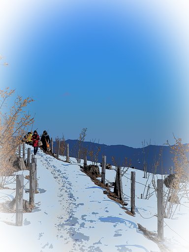坂のある風景～宝登山～2