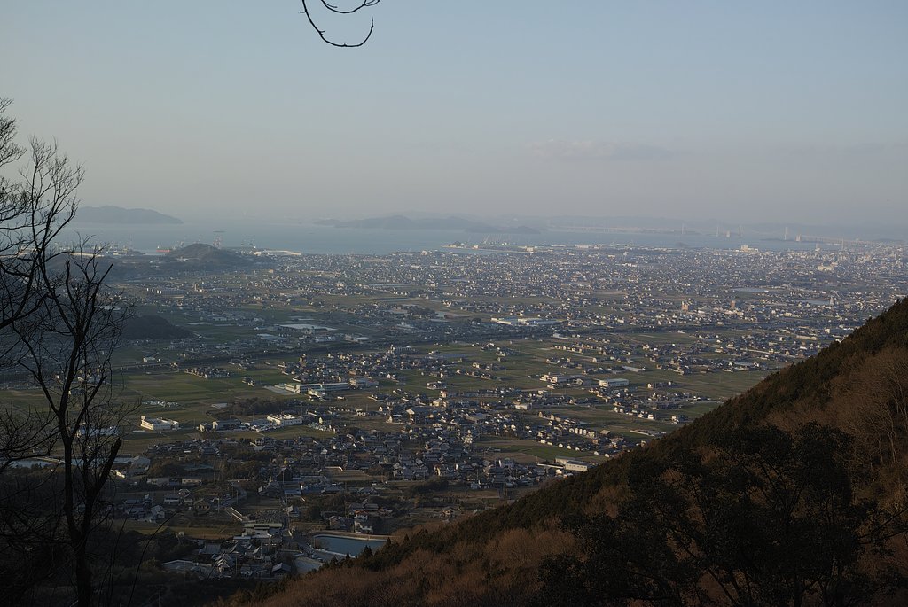 気分は日本海