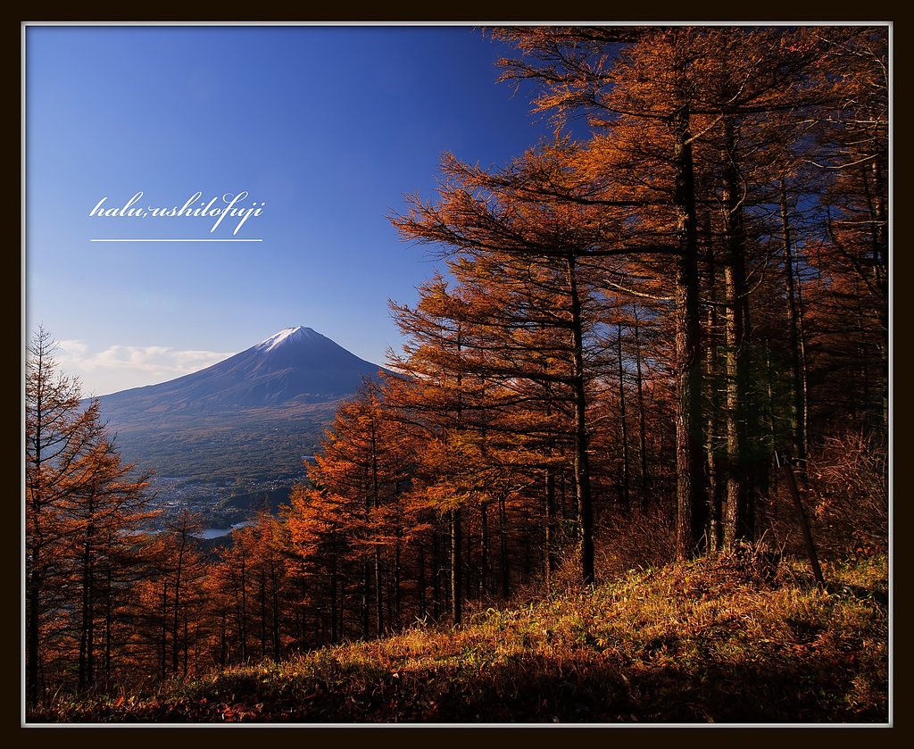 晴天富士山