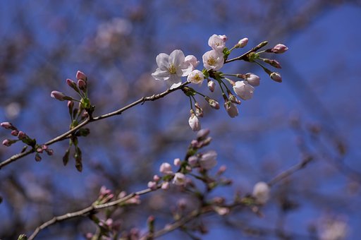 一足お先に