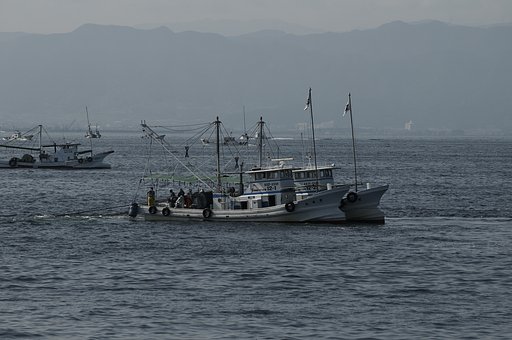まどろみの海
