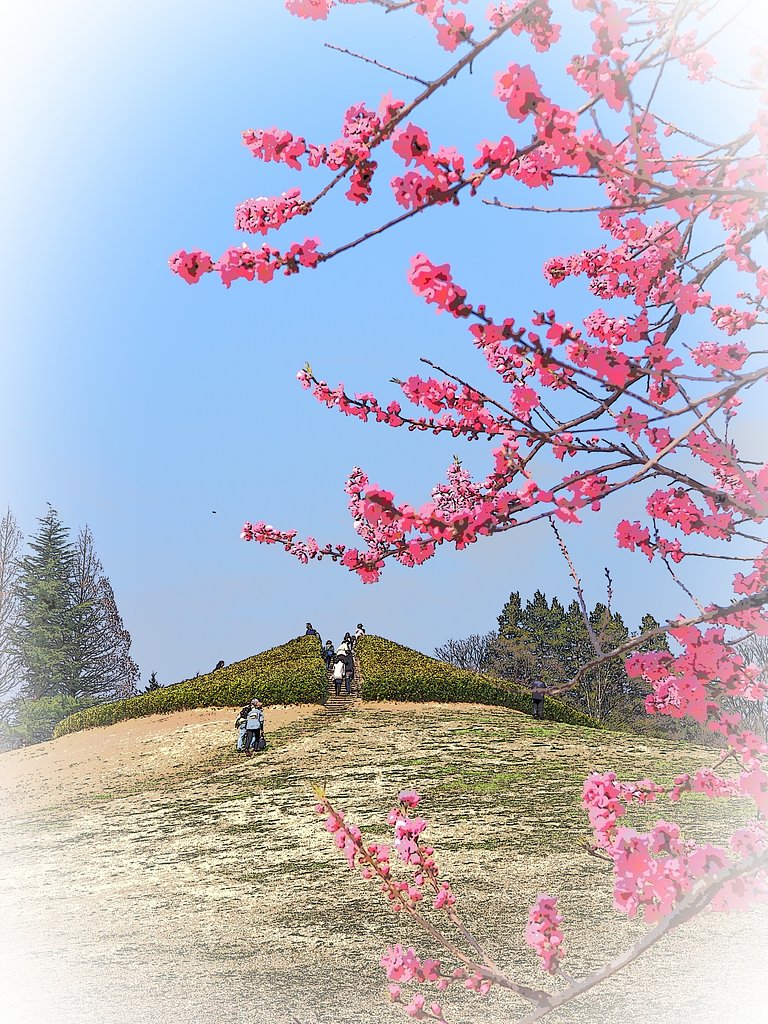 坂のある風景～古河市総合公園～
