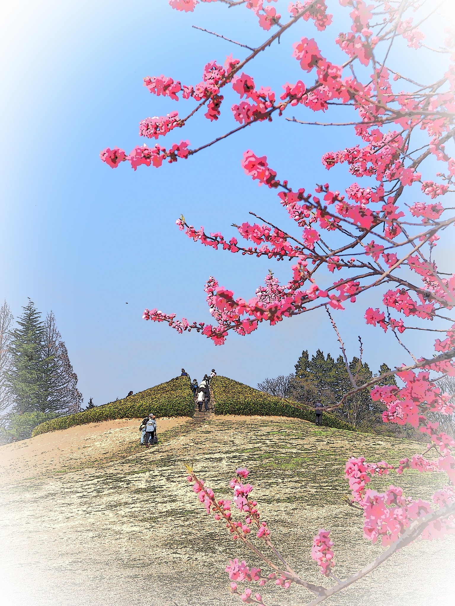 坂のある風景～古河市総合公園～