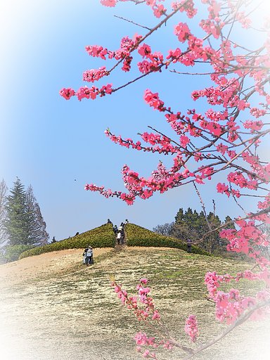 坂のある風景～古河市総合公園～
