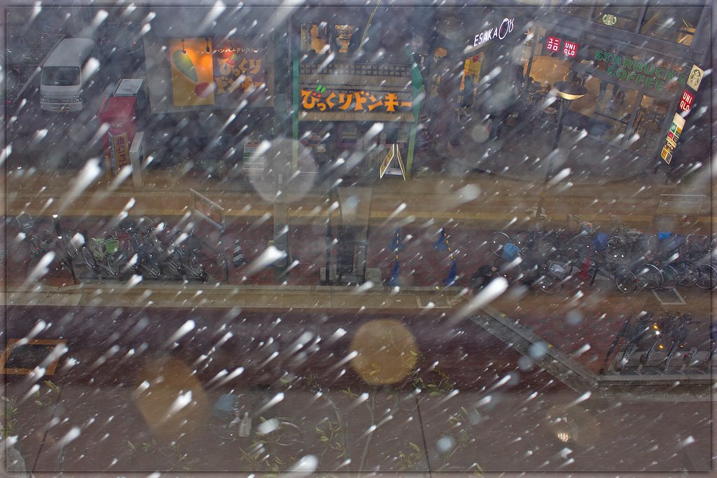 【今年の一枚】 雪降るお正月