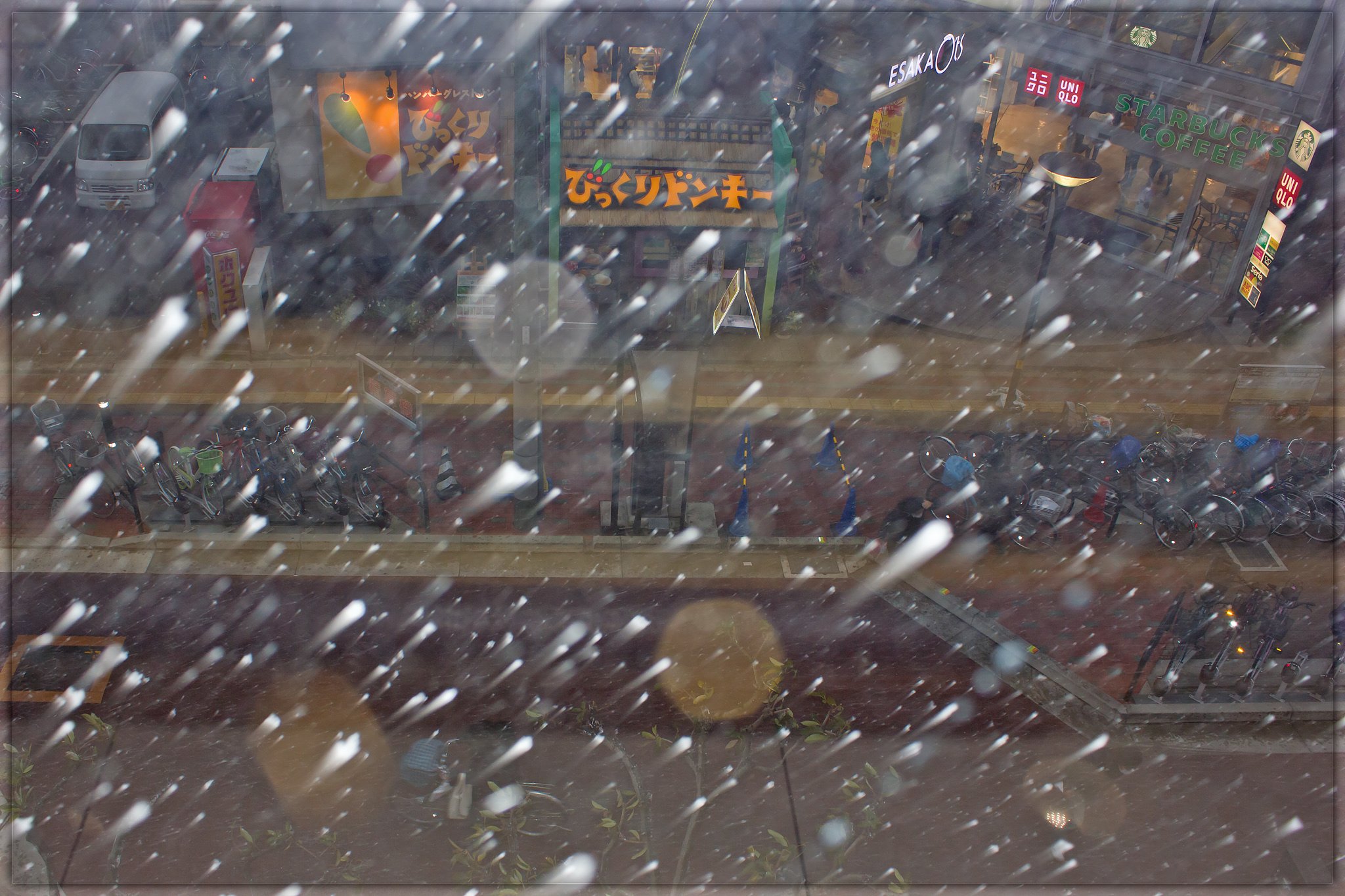 【今年の一枚】 雪降るお正月