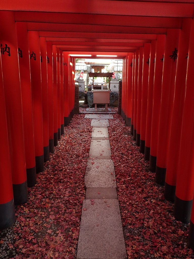 赤の印象