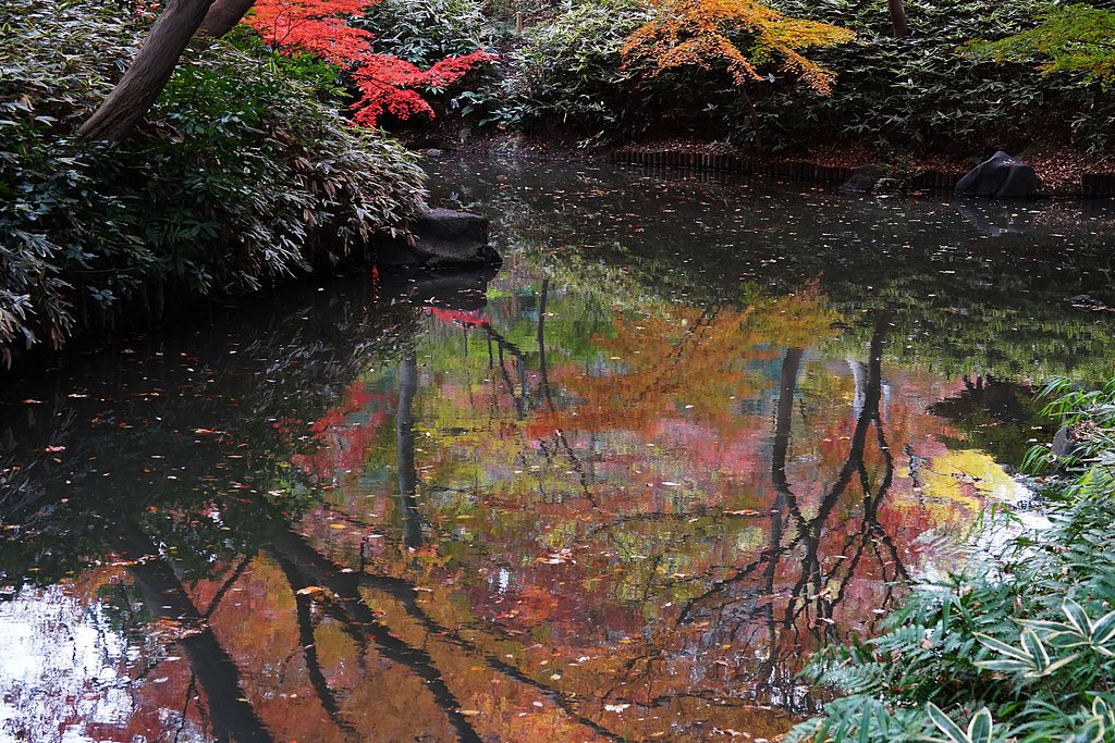 水面に映る