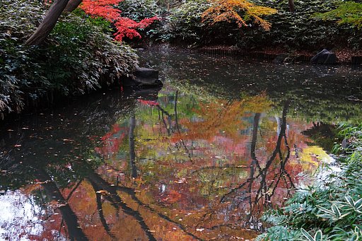 水面に映る