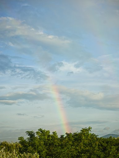 【天】 淀の空