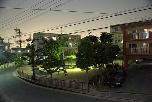 夜の【光】