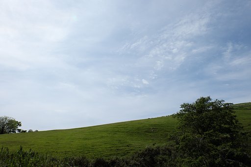 丘