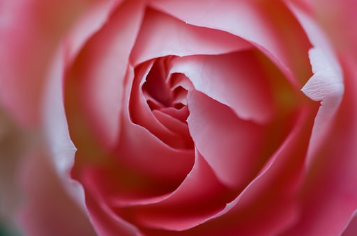 SIGMA MACRO 70mm F2.8 