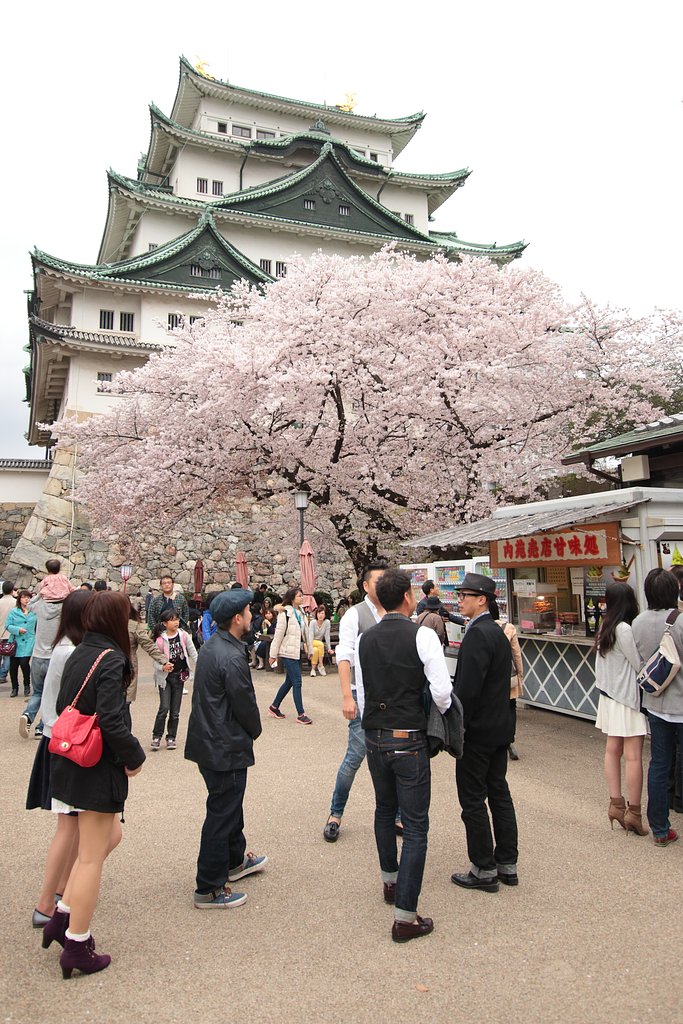【縦構図】名古屋城様は何見てござる