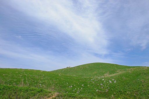 ５月の丘