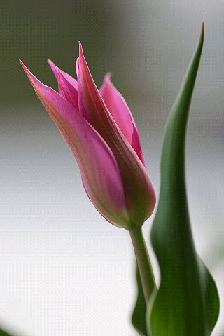 【出】やっと、出た！