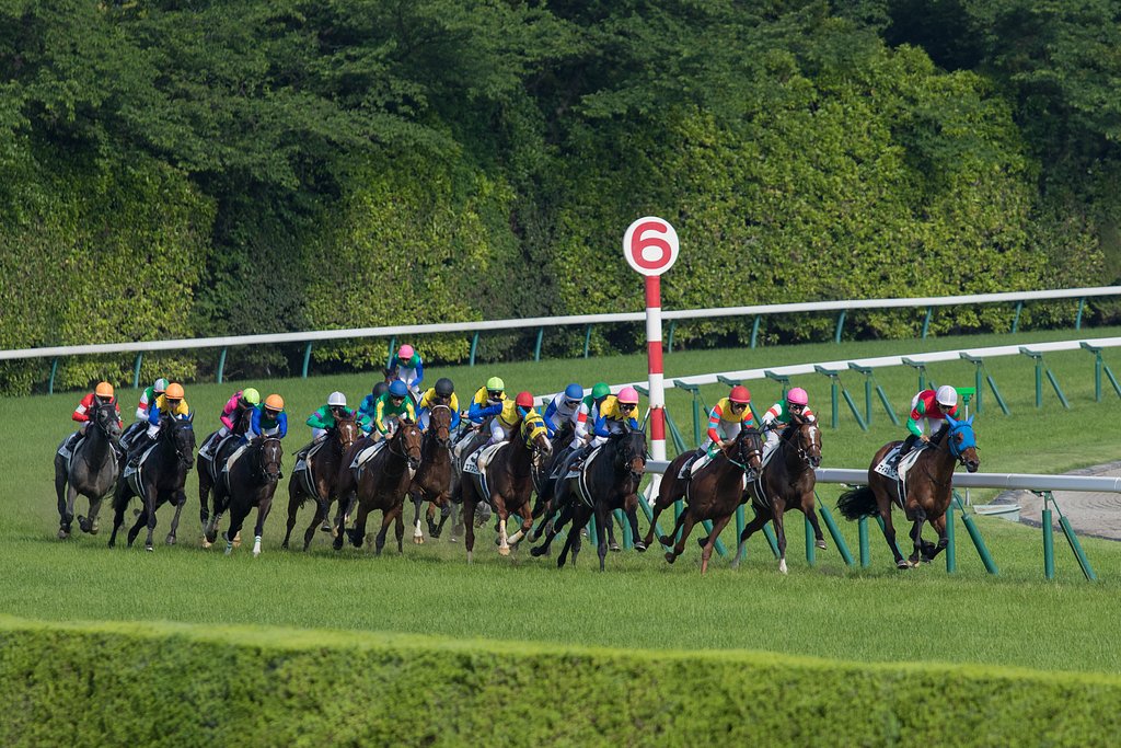 日本ダービー、第四コーナー