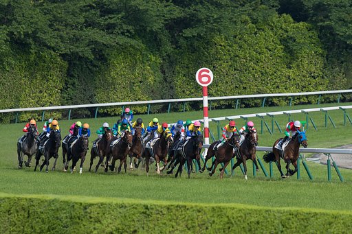 日本ダービー、第四コーナー