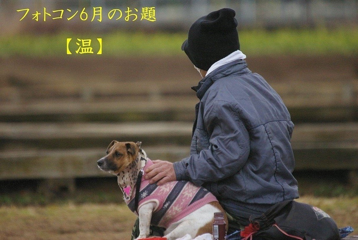 ６月フォトコンへのお誘い