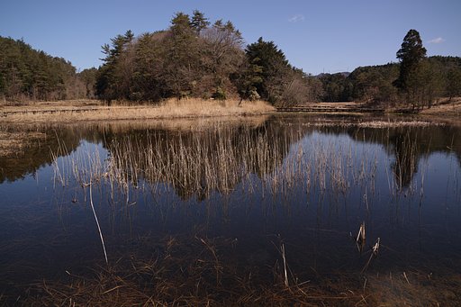 黒沢湿原その５