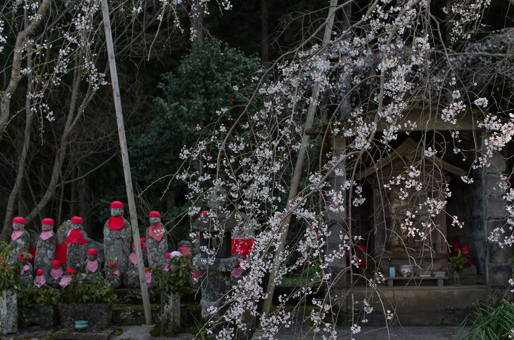 SIGMA 30mm F1.4 DC HSM