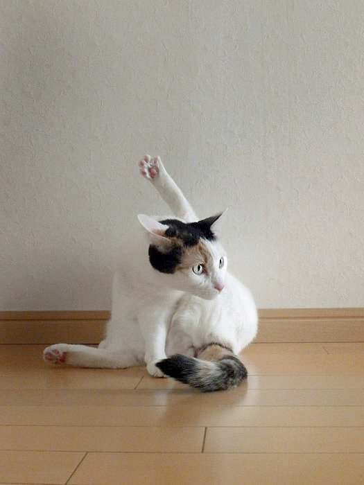 【縦画像】ん！