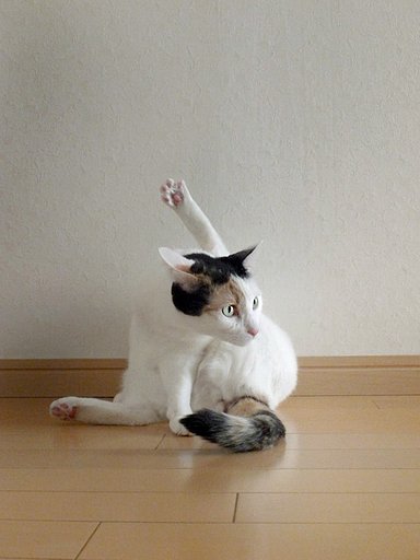 【縦画像】ん！