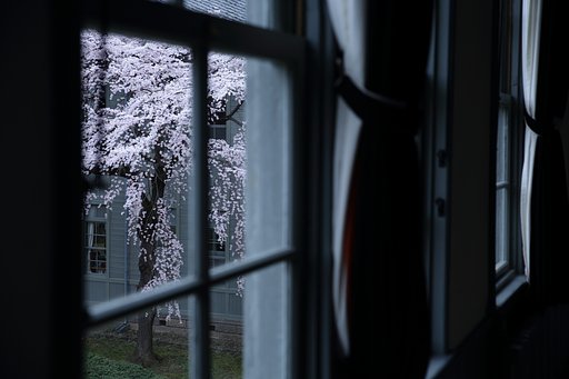 早春の果てに
