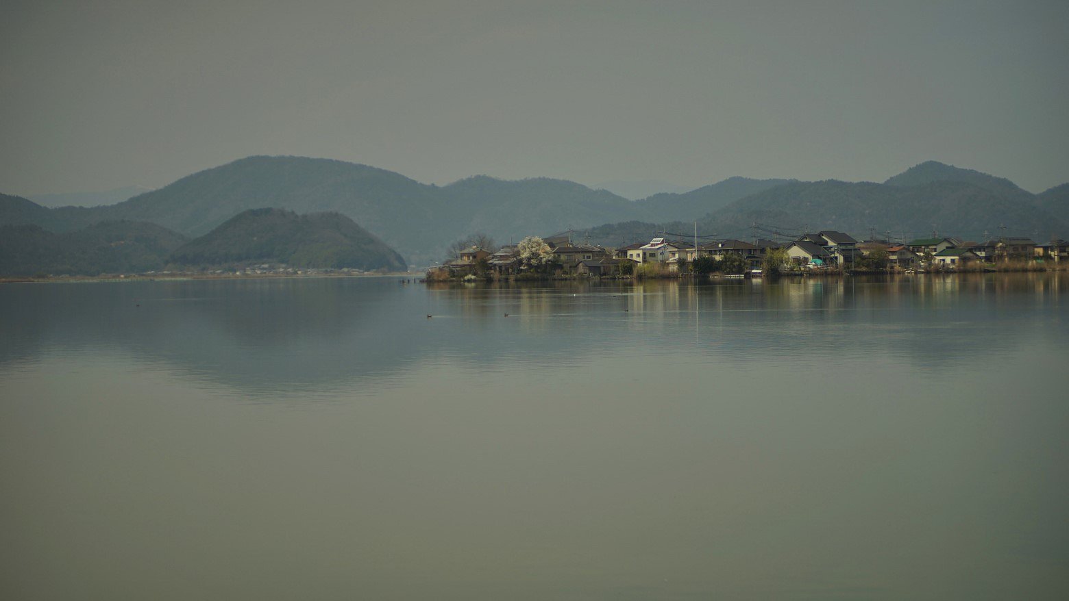 西の湖