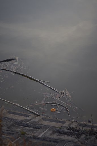 溜池