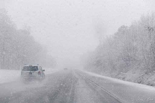 大雪を振り切ろう