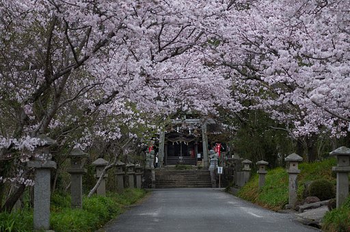 参道