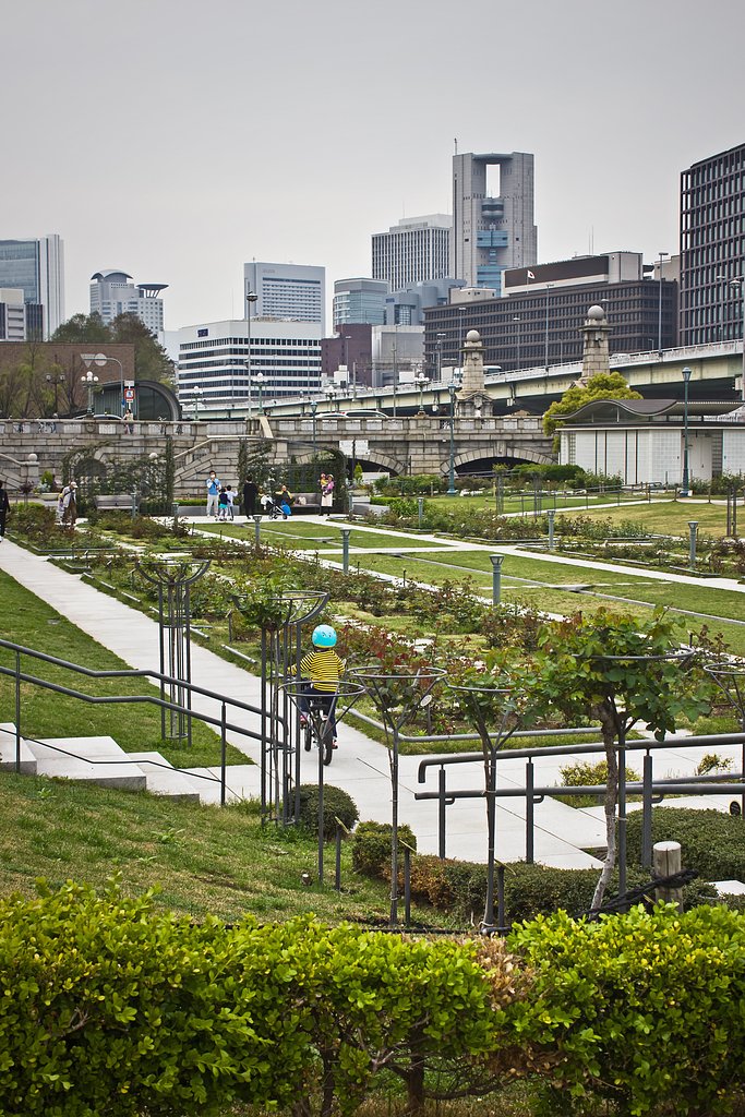 【縦画像】 中之島公園バラ園 