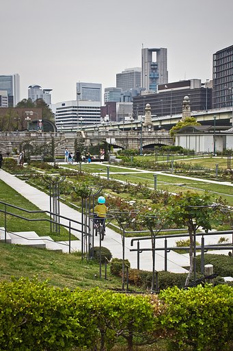 【縦画像】 中之島公園バラ園 