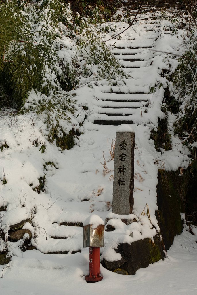 積雪が・・。
